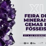 Feira de Minerais, Gemas e Fósseis parte para a 11ª edição em fevereiro